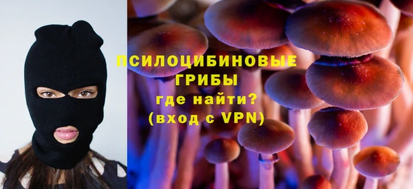 соль курить ск Гусиноозёрск
