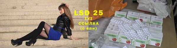 молекула духа Гусев