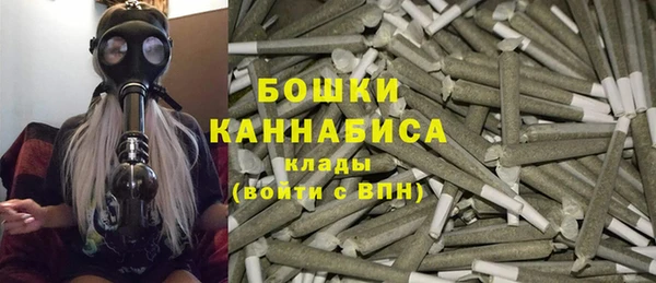 молекула духа Гусев