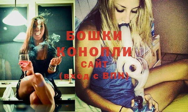 молекула духа Гусев
