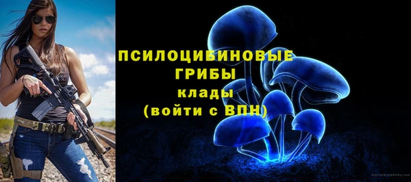 прущие крисы Горно-Алтайск